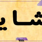 معنى اسم بشاير وأصله وصفاته بين العيوب والمزايا
