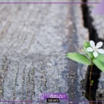 عبارة عن الامل والتفاؤل جميلة.. كلام عن الأمل والطموح والصبر