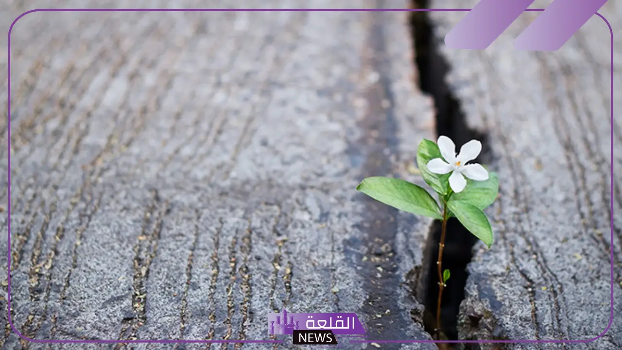 عبارة عن الامل والتفاؤل جميلة.. كلام عن الأمل والطموح والصبر