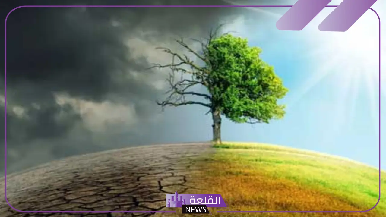 مشكلات البيئة التي تعاني منها بعض المدن الحديثة