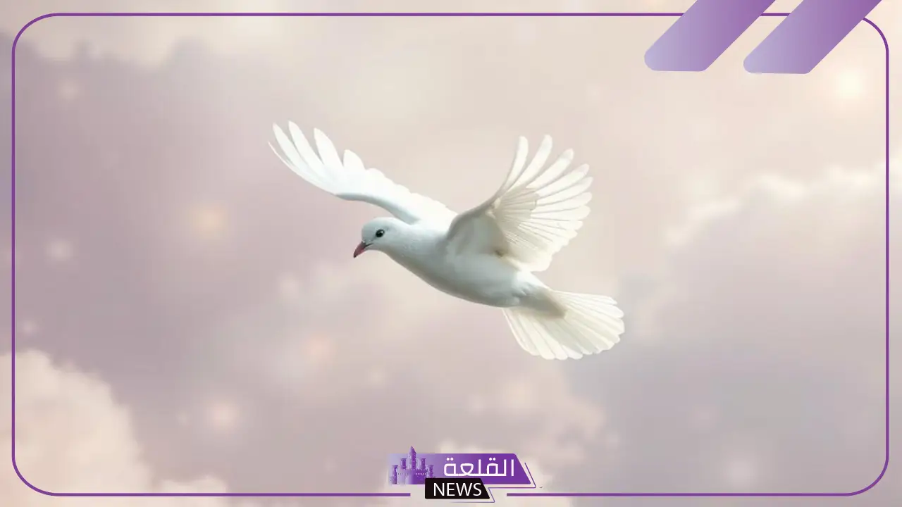 على ماذا يدل وجود الحمام على الشباك؟ هل الحمامة فال خير؟ على ماذا يدل وجود الحمام على الشباك؟ هل الحمامة فال خير؟