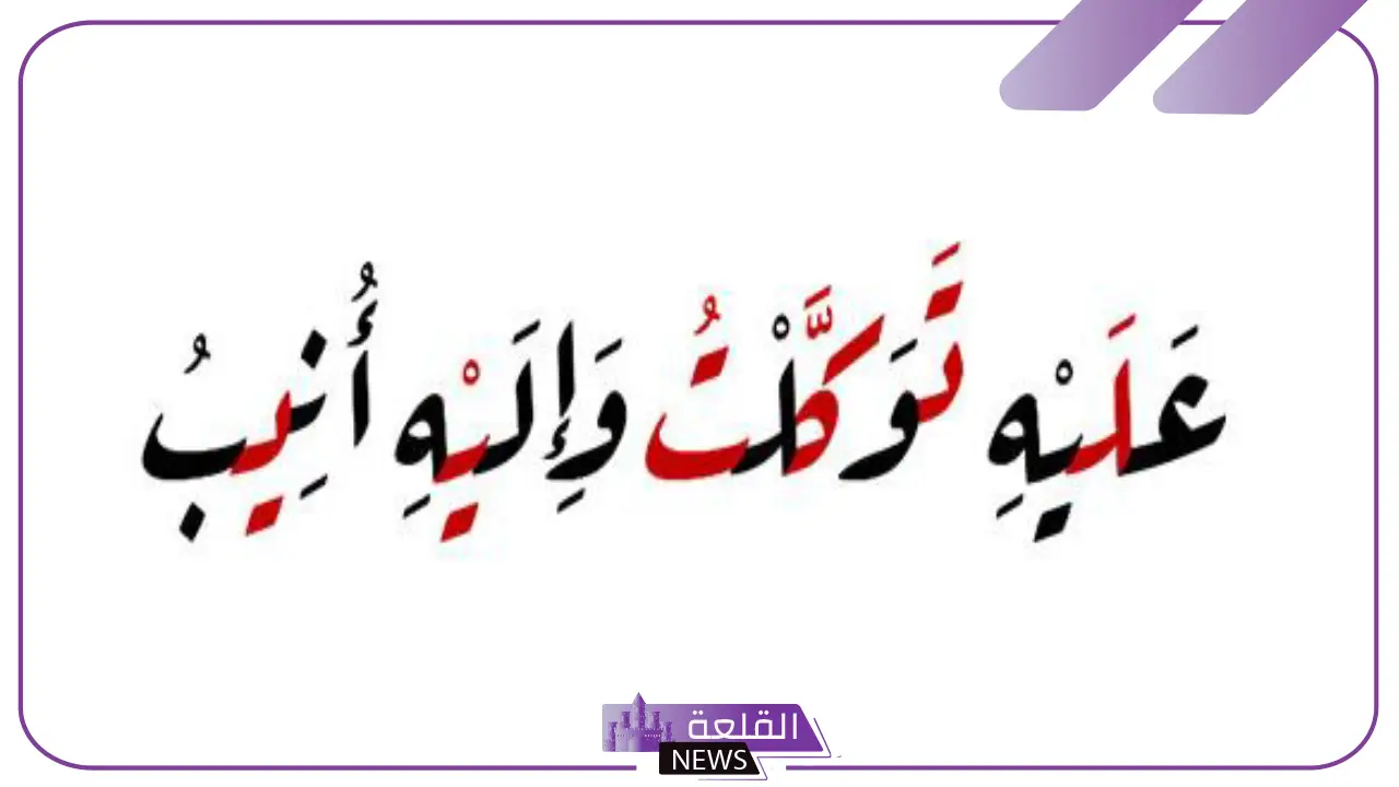 صور.. جملة بخط الرقعة والنسخ جاهزة