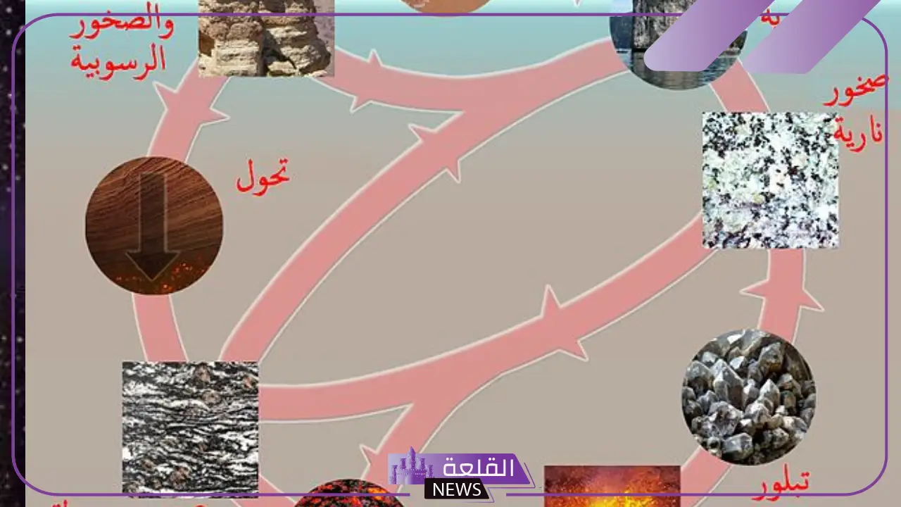 أنواع الصخور الرسوبية هي: كيف تحدث عملية تكوّن الصخور؟