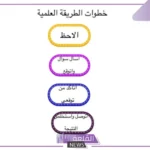 ماهي الطريقة العلمية؟ مثال توضيحي للطريقة العلمية