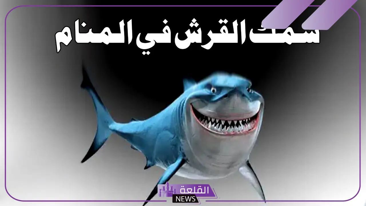 تفسير حلم القرش في المنام ورمزه للرجل والمرأة لكبار العلماء