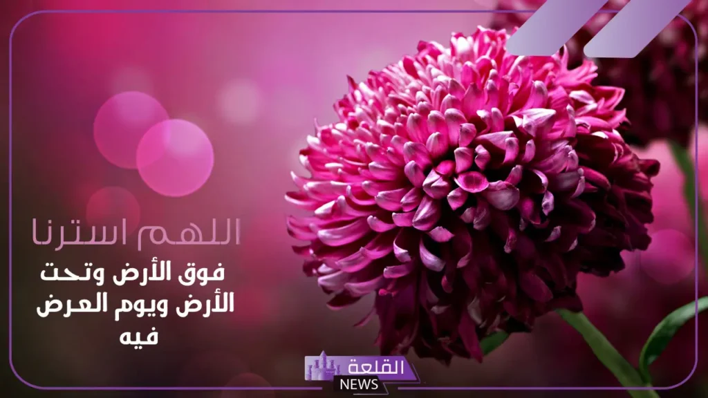 خلفيه واتس دينيه جاهزة.. خلفيات اسلامية بجودة عالية خلفيه واتس دينيه جاهزة.. خلفيات اسلامية بجودة عالية