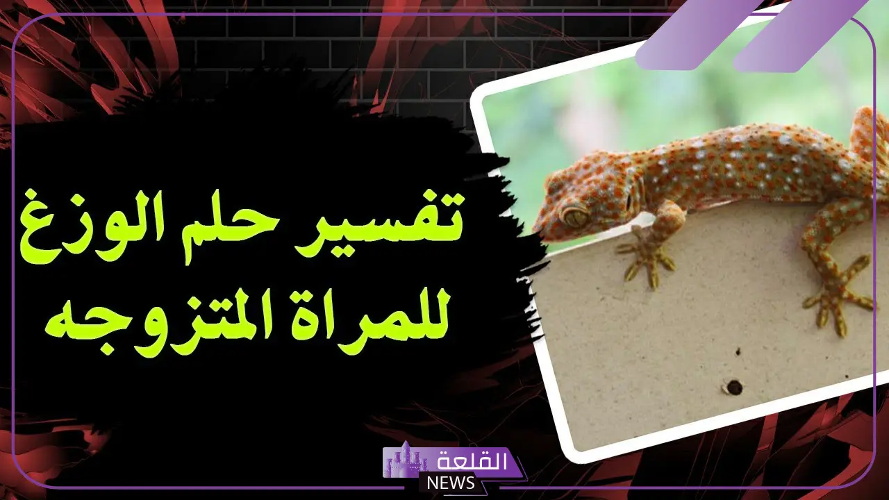 تفسير حلم الوزغ للمتزوجة وقتله في المنام عند العالم ابن سيرين