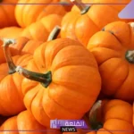 تفسير حلم القرع في المنام برتقالي للعالم ابن سيرين للمرأة والرجل