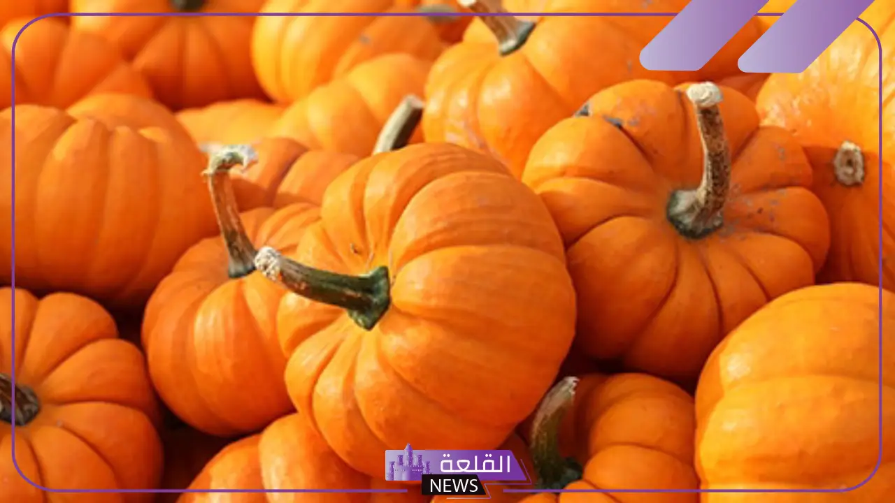 تفسير حلم القرع في المنام برتقالي للعالم ابن سيرين للمرأة والرجل