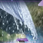 تفسير حلم رؤية المطر في المنام للرجل في حوش البيت لابن سيرين