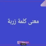 وش معنى زربة في المعجم؟ معنى كلمة زربة بالسعودي