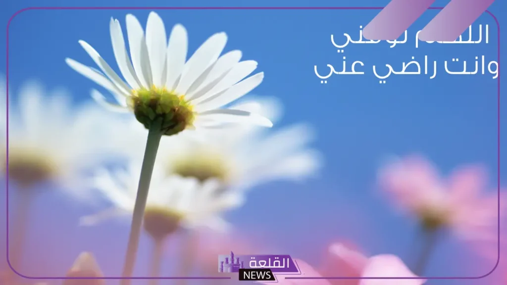 خلفيه واتس دينيه جاهزة.. خلفيات اسلامية بجودة عالية خلفيه واتس دينيه جاهزة.. خلفيات اسلامية بجودة عالية