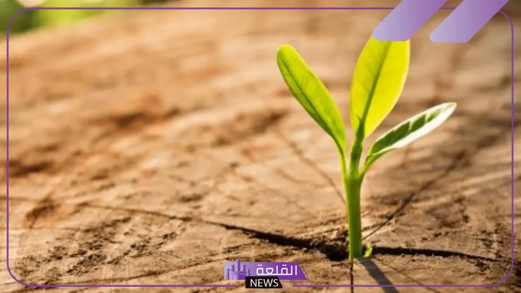 حكم عن الامل والطموح في الدنيا والصبر