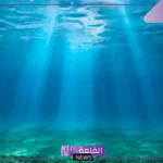 كم عدد المحيطات والبحار في العالم؟