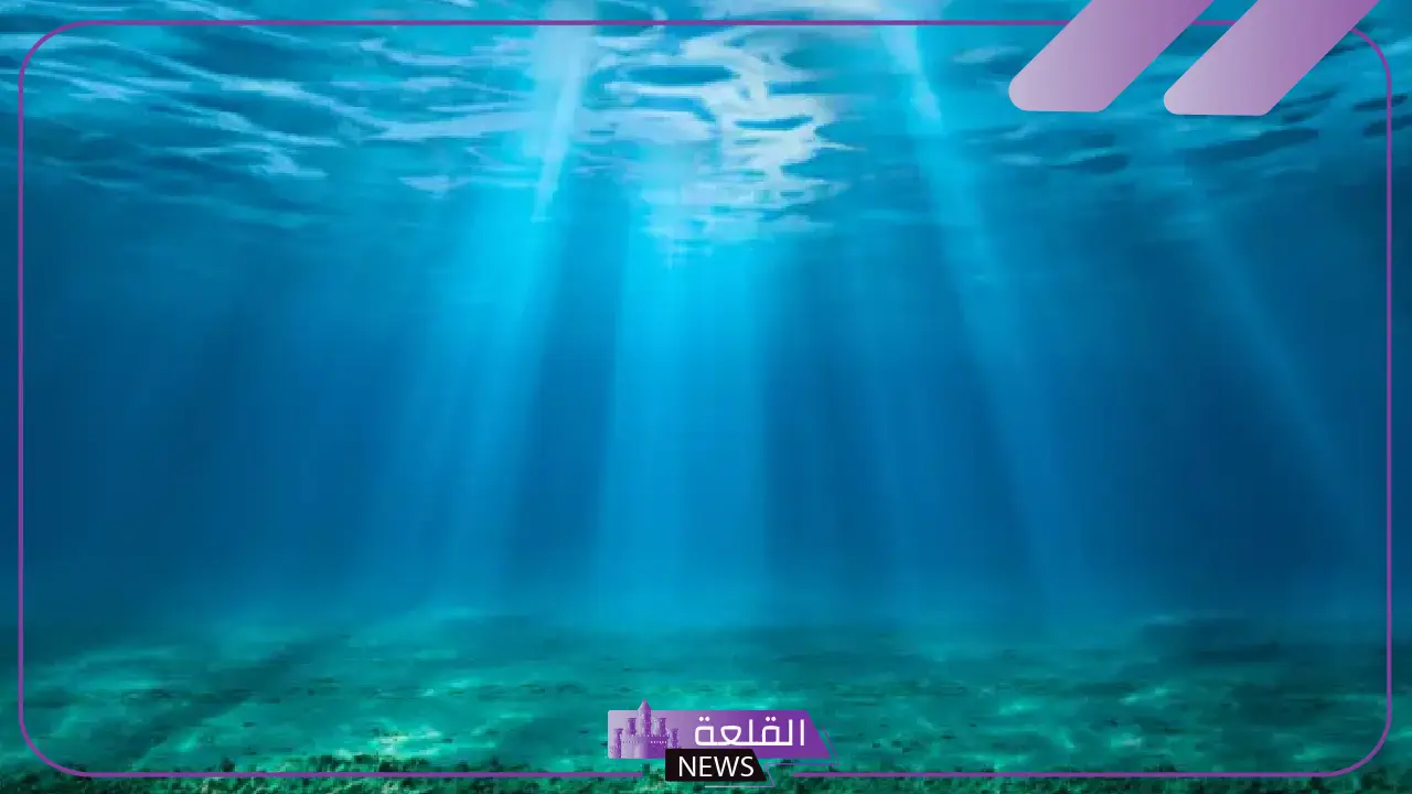 كم عدد المحيطات والبحار في العالم؟
