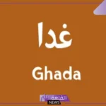 ما معنى غدا في اللغة العربية؟ الفرق بين غدا والغد