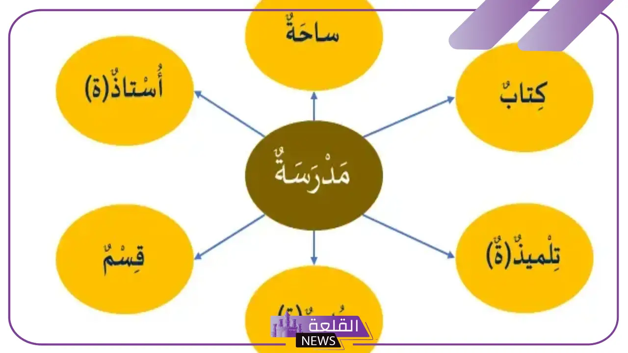 استراتيجيات الفهم القرائي pdf ومستواياتها