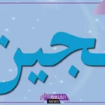 اللجين معنى في اللغة العربية.. صفات حاملة اسم لجين