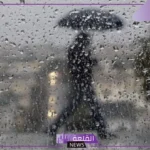 حلمت بامطار غزيرة في المنام للعالم ابن سيرين
