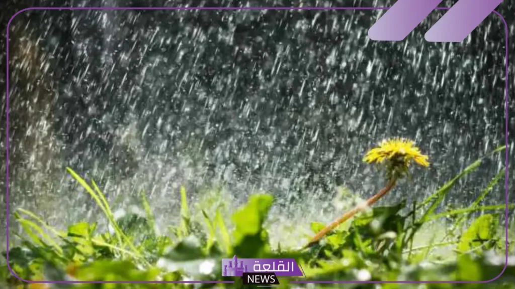 يكون الهطول عاده في ثلاثه اشكال هي: