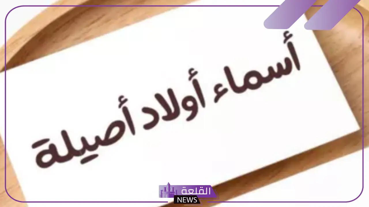 أجمل اسماء اولاد ملكية نادرة عربية مميزة 2025 أجمل اسماء اولاد ملكية نادرة عربية مميزة 2025