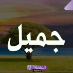 تفسير رؤية اسم جميل في المنام للمتزوجة والعزباء لابن سيرين