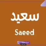 معنى اسم سعيد وصفاته بين العيوب والمميزات