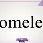 ما معنى هوملس؟ تعريف كلمة Homeless