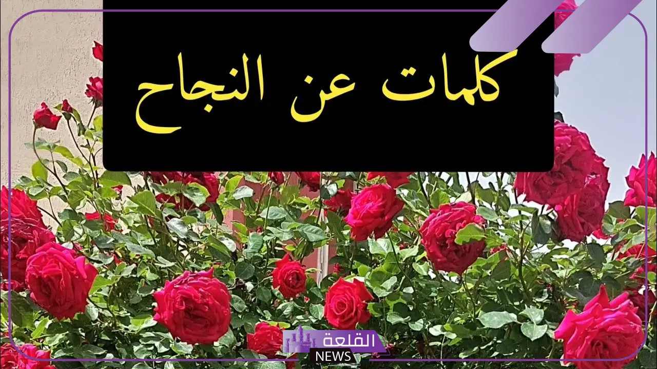 عبارات عن النجاح والتفاؤل.. كلمات عن التفوق في الدراسة قصيرة