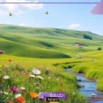 الربيع ياتي بعد فصل؟ ترتيب فصول السنة بالأرقام