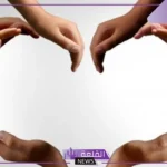 الوطنية أوسع مفهوماً من المواطنة.. خصائص المواطنة