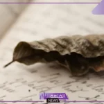 كلمة وداع مؤثرة حزينة.. كلمات وداع واعتذار قبل الرحيل
