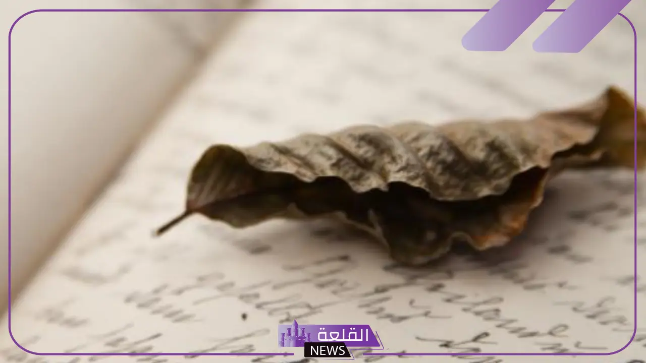 كلمة وداع مؤثرة حزينة.. كلمات وداع واعتذار قبل الرحيل