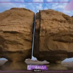 تعريف التجوية وأنواعها.. الكائنات الحية المساهمة في التجوية الحيوية 