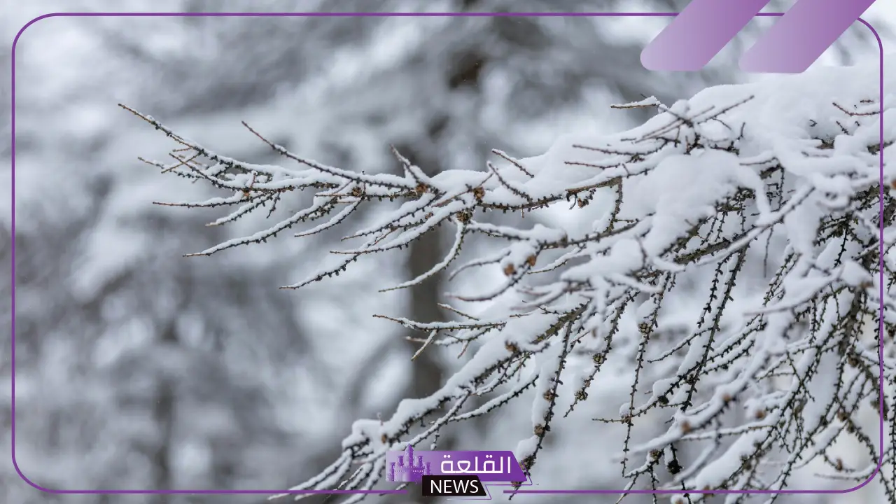 تفسير حلم الثلج في المنام ونزوله للحامل والعزباء لابن سيرين تفسير حلم الثلج في المنام ونزوله للحامل والعزباء لابن سيرين