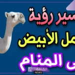 تفسير حلم رؤية الجمل الابيض في المنام هائج للعزباء والمتزوجة