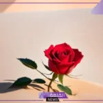 ملخص رواية ورد وأحداثها.. نبذة عن الرواية
