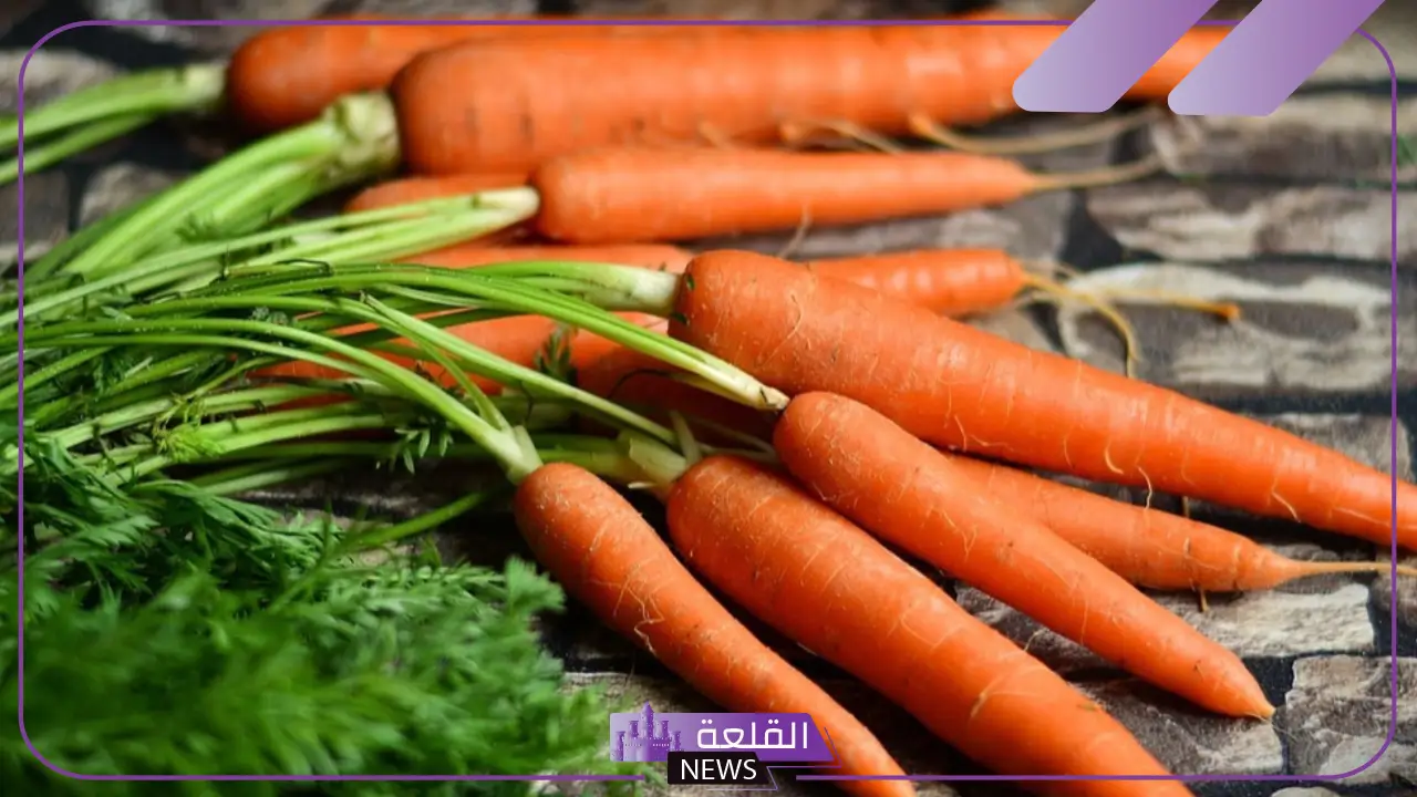 تفسير حلم رؤية الجزر في المنام عند العزباء والمتزوجة للعالم ابن سيرين