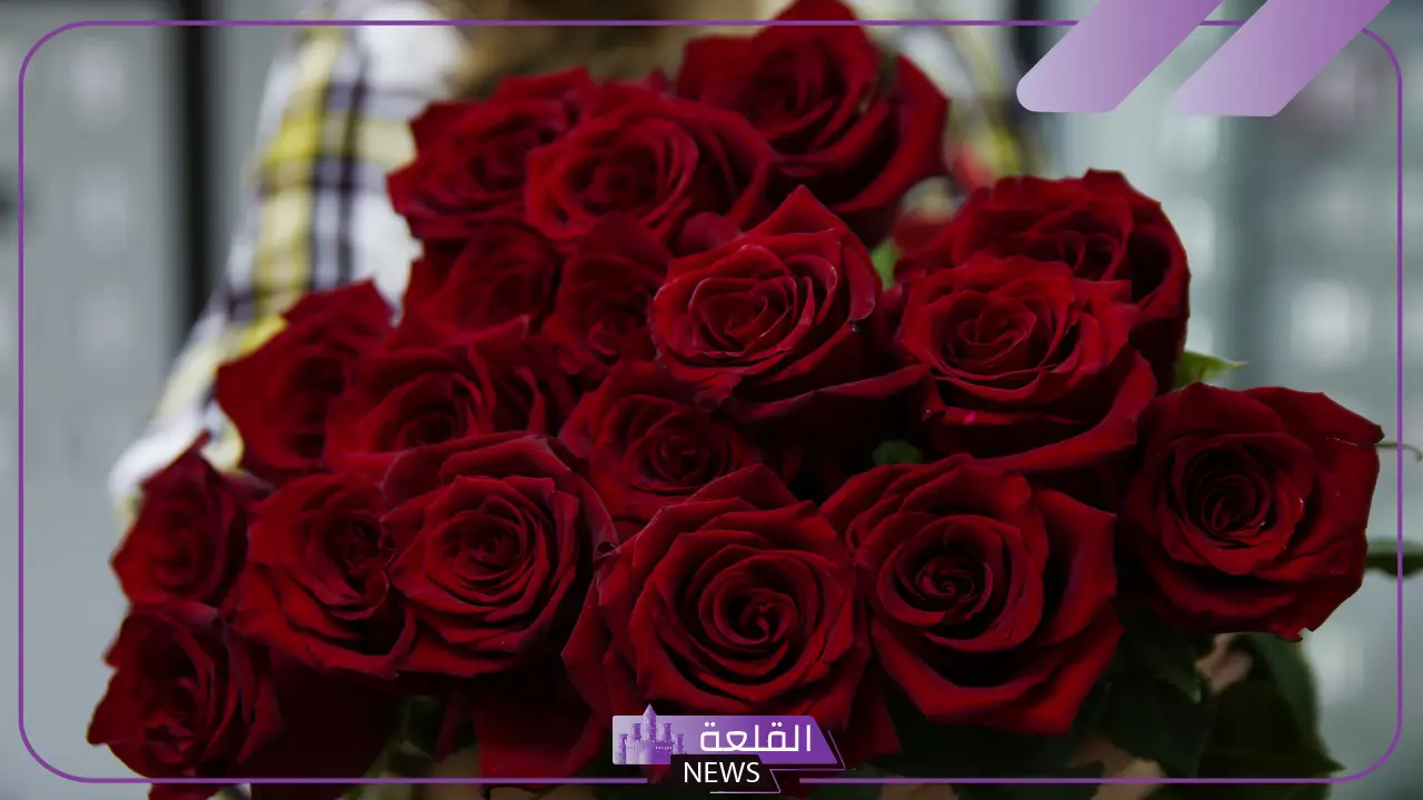 تفسير حلم الورد الاحمر في المنام للعزباء والمطلقة والمتزوجة تفسير حلم الورد الاحمر في المنام للعزباء والمطلقة والمتزوجة