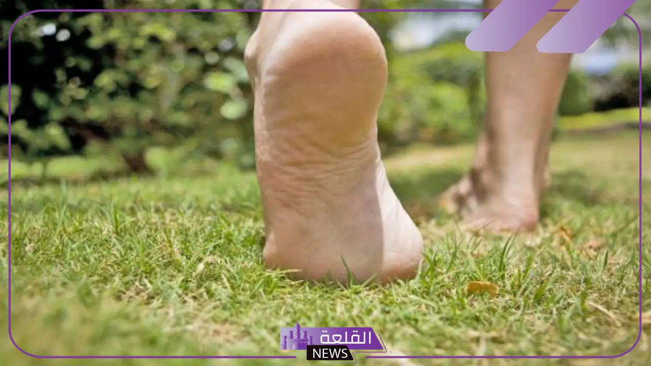 تفسير حلم القدم في المنام وباطنها للمتزوجة والعزباء لابن سيرين