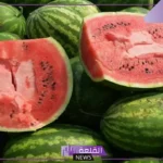 تفسير حلم رؤية البطيخ في المنام للمرأة المتزوجة لكبار المفسرين