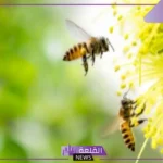 تفسير حلم الحشرات في المنام للعزباء والمتزوجة وقتلها للعالم ابن سيرين