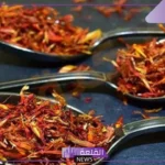 تفسير رؤية الحلم بالزعفران في المنام للمتزوجة والعزباء لابن سيرين