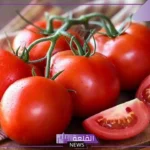 تفسير حلم الطماطم في المنام للمتزوجة وشراؤها لابن سيرين