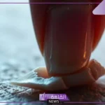 تفسير حلم خلع الظفر في المنام للمرأة المتزوجة لابن سيرين