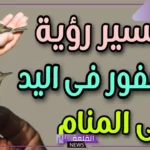تفسير حلم العصفور في اليد للعزباء والمتزوجة في المنام