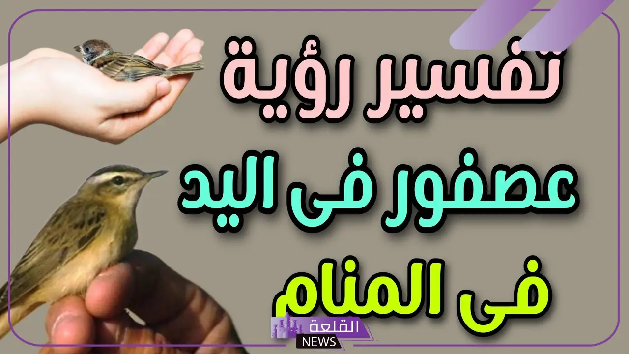 تفسير حلم العصفور في اليد للعزباء والمتزوجة في المنام