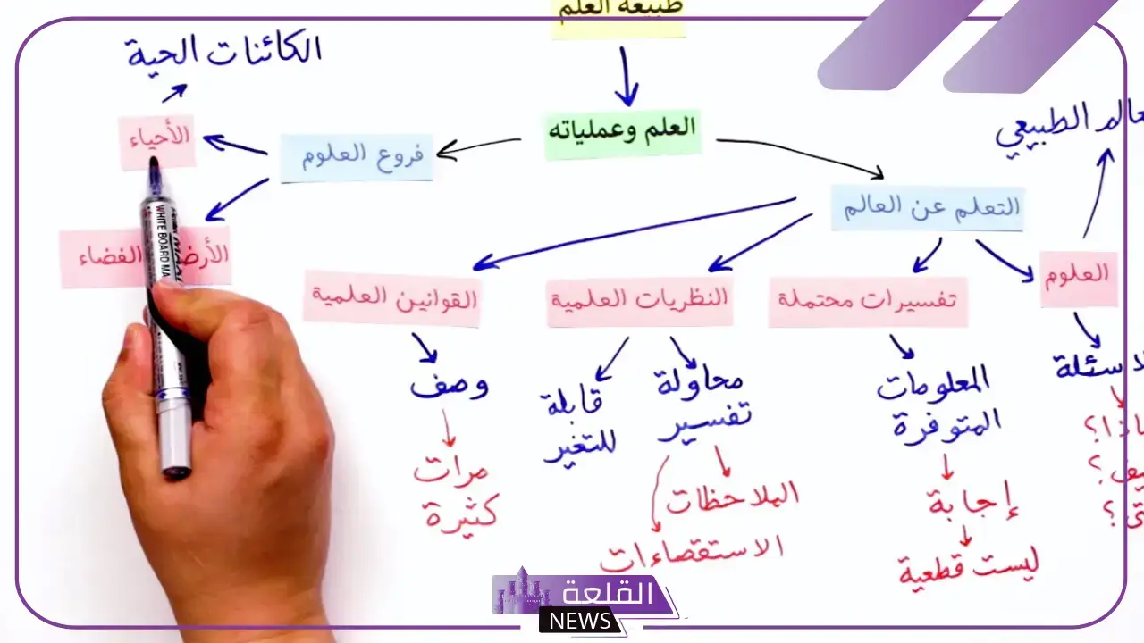 ماهي خطوات الطريقه العلمية؟ مثال على اتباع الطريقة العلمية