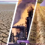 من الظواهر الطبيعية التي تغير النظام البيئي هي: