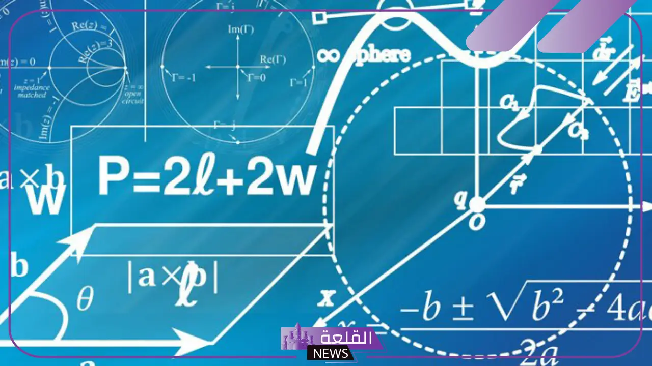أهمية الرياضيات ودورها في نمو المجالات الاقتصادية